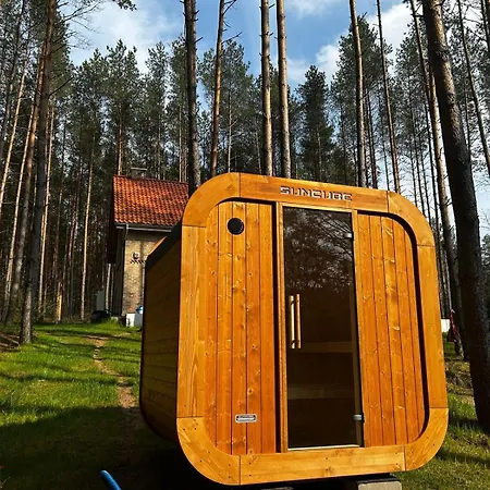Sasny